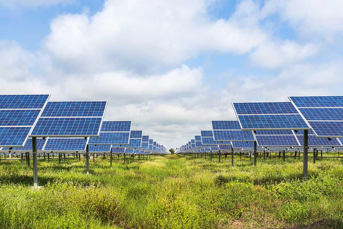 10 MWp Solar Project - Neemuch, M.P.